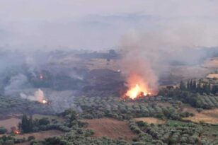Πώς σώθηκε η «παρτίδα» στις φωτιές Αχαΐας – Ηλείας - Τι δείχνουν οι έρευνες για τα αίτια