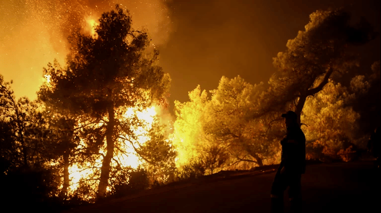 Πυροσβεστική: 44 δασικές πυρκαγιές το τελευταίο 24ωρο