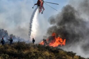 Κρήτη: Πρόλαβαν τη φωτιά στην Αγία Γαλήνη πριν επεκταθεί