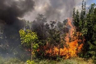 Πυροσβεστική: «Δεν ανάβουμε φωτιά για κανέναν λόγο» - Νέο σποτ για πρόληψη των πυρκαγιών