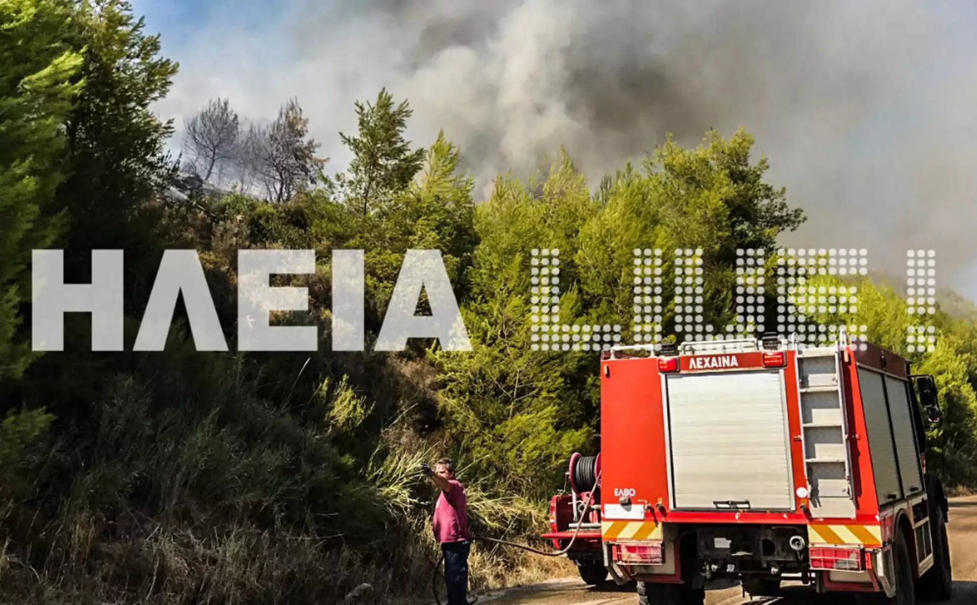 Φωτιά στην Ηλεία: Με εναέρια μέσα η Πυροσβεστική - Καίγεται δασική έκταση