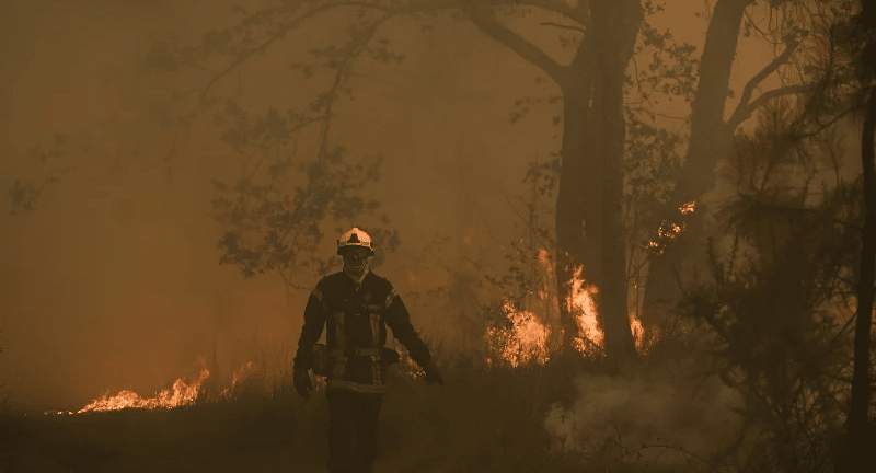 Στο «έλεος» του καύσωνα και των πυρκαγιών η Ευρώπη - Εκατόμβες νεκρών σε Ισπανία και Πορτογαλία