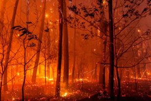 Φλέγεται η Ευρώπη: Οι φετινές πυρκαγιές έχουν ήδη καταστρέψει περισσότερη έκταση σε σχέση με το σύνολο του 2021