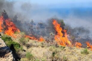 Σέρρες: Φωτιά σε δασική έκταση στο Νέο Πετρίτσι - Με εναέρια μέσα για τον περιορισμό της