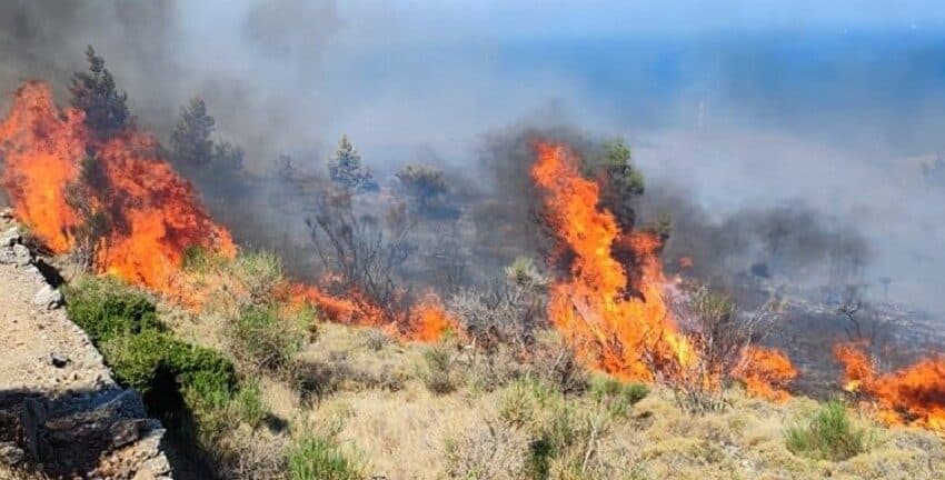Σέρρες: Φωτιά σε δασική έκταση στο Νέο Πετρίτσι - Με εναέρια μέσα για τον περιορισμό της