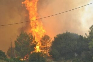 Φωτιά στη Πρέβεζα: Υπό μερικό έλεγχο η φωτιά - Κάηκαν σπίτια