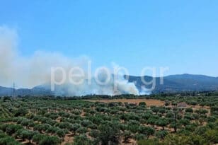 Δυτική Αχαΐα: Υπό έλεγχο η πυρκαγιά στο Καλαμάκι - Σε επιφυλακή μεγάλη δύναμη της Πυροσβεστικής