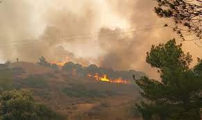 Φωτιά στη Λέσβο: Οι άνεμοι ενισχύουν τις αναζωπυρώσεις 