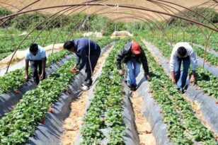 ΚΕΕΡΦΑ: Καταγγελία για ξυλοδαρμό μετανάστη εργάτη γης στο Άργος από τον εργοδότη του