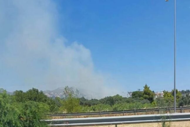 Πικέρμι: Υπό μερικό έλεγχο η φωτιά κοντά στη Λεωφόρο Μαραθώνος