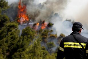 Φωτιά στο Βόλο - Επιχειρούν δυνάμεις της πυροσβεστικής - ΒΙΝΤΕΟ