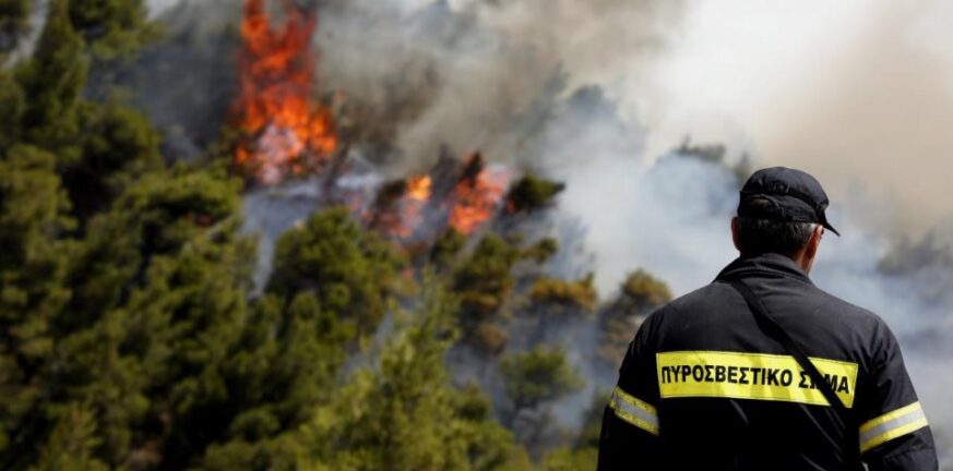 Πήλιο: Μεγάλη φωτιά στον Κισσό - Πώς προκλήθηκε