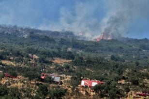 Ξυλόκαστρο