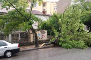 Θεσσαλονίκη: Έπεσαν δέντρα σε δρόμους και σε αυτοκίνητα από τη κακοκαιρία