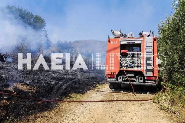 Πύργος: Φωτιά κοντά στο Κολίρι - Τέθηκε υπό έλεγχο από την πυροσβεστική