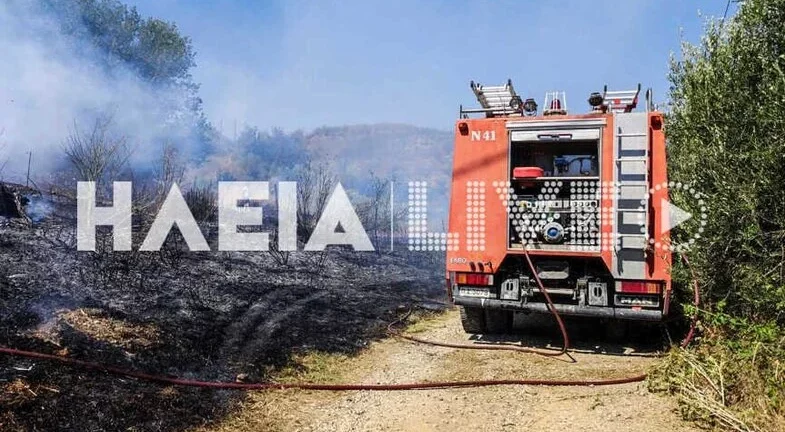 Πύργος: Φωτιά κοντά στο Κολίρι - Τέθηκε υπό έλεγχο από την πυροσβεστική