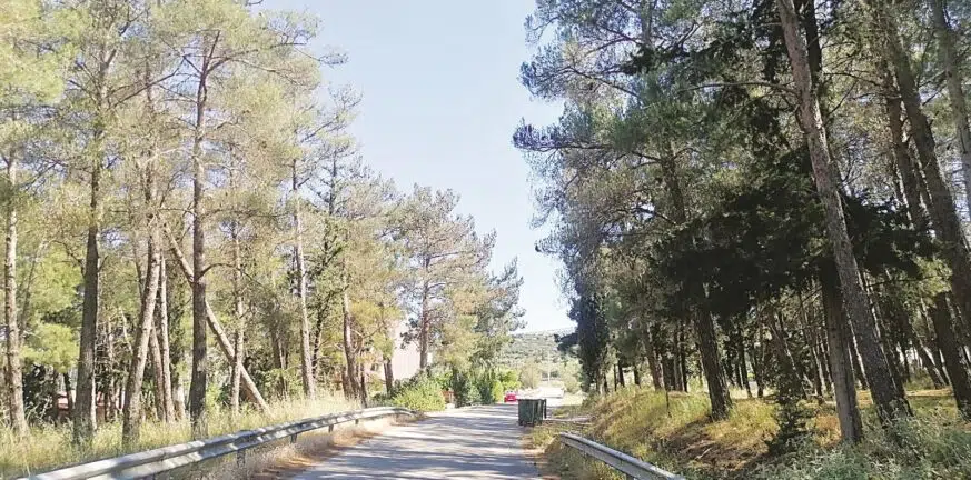 Αγωνία και φόβος στο Ρωμανό Πάτρας: Κάτοικοι ζητούν ενίσχυση της αστυνόμευσης λόγω αλλεπάλληλων περιστατικών εισβολών και κλοπών Αγωνία και φόβος στο Ρωμανό Πάτρας: Κάτοικοι ζητούν ενίσχυση της αστυνόμευσης λόγω αλλεπάλληλων περιστατικών εισβολών και κλοπών