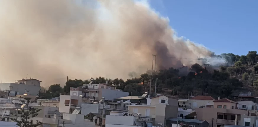 Δήμαρχος Σαλαμίνας για τη φωτιά: «Είμαι σίγουρος τι συμβαίνει με το τριπλό μέτωπο φωτιάς» - Υπόνοιες για εμπρησμό 