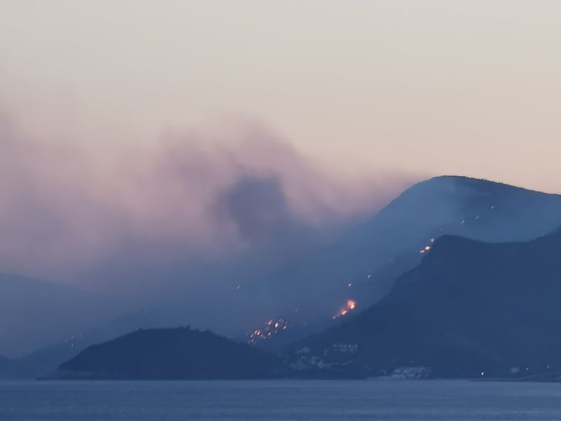 Υπο έλεγχο η φωτιά στη Σάμο - Δεν κινδύνεψαν σπίτια στον Λιμνιώνα