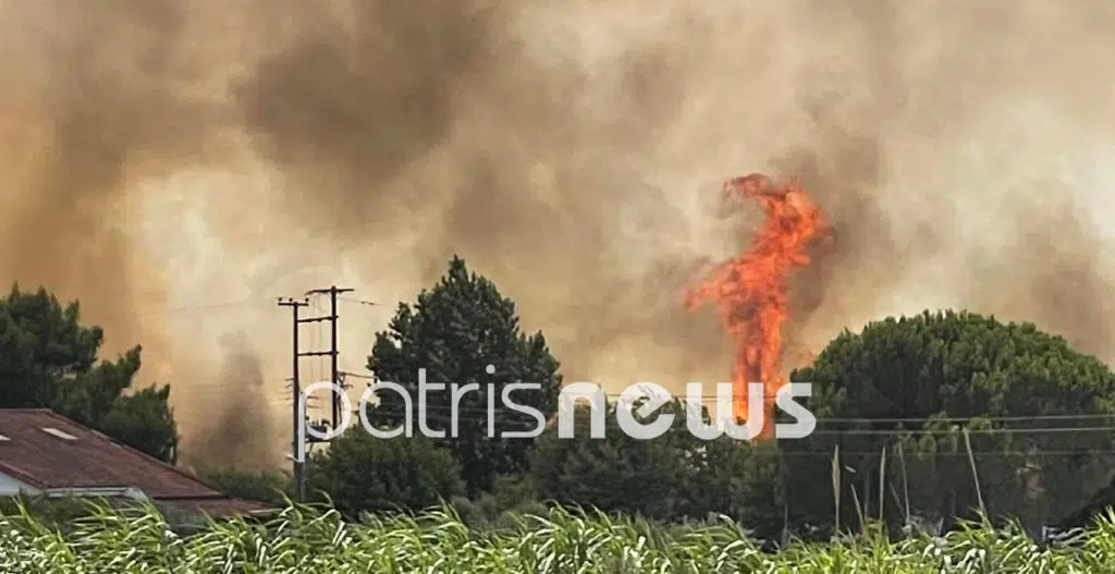 Πύργος: «Ξέφυγε» η φωτιά στη Σπιάτζα – Μια ανάσα από τα σπίτια οι φλόγες ΦΩΤΟ