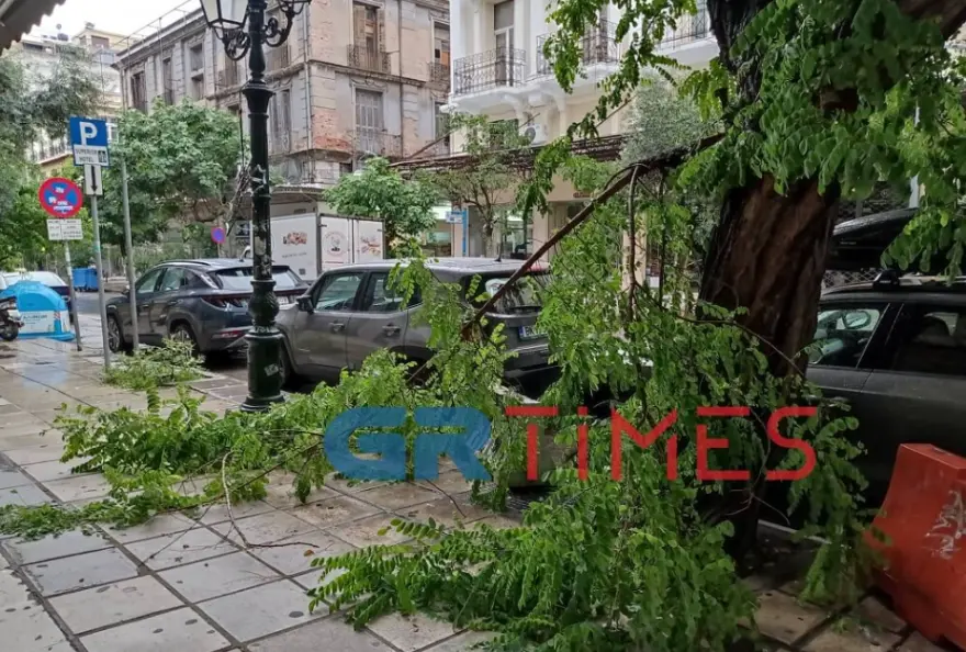 Θεσσαλονίκη: Έπεσαν δέντρα σε δρόμους και σε αυτοκίνητα από τη κακοκαιρία