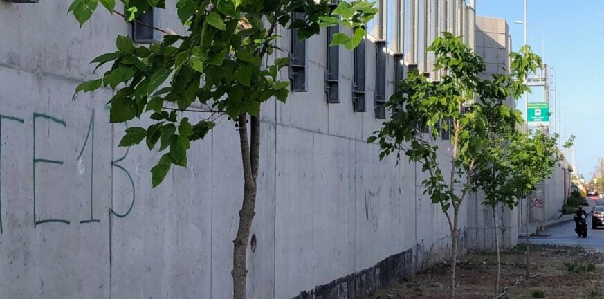 Πάτρα: Το Ρίο ζητά να γίνει πράσινος ο γκρι τοίχος της οδού Σταυροπούλου