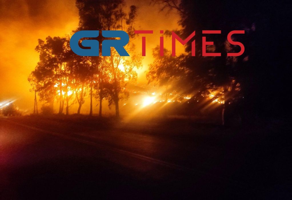 Ανεξέλεγκτη η φωτιά στη Φωκίδα - Απομακρύνουν τους κατοίκους από την Βόρεια Ιτέα - Απειλούνται εργοστάσια - ΒΙΝΤΕΟ - ΦΩΤΟ - ΝΕΟΤΕΡΑ