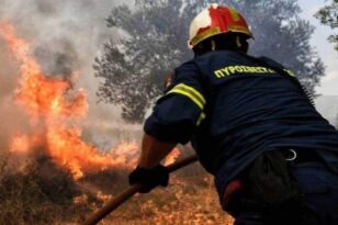 Θεσσαλονίκη: Ξέσπασε φωτιά στον λόφο της Τούμπας - Έκαψε ξερά χόρτα ΦΩΤΟ - ΒΙΝΤΕΟ