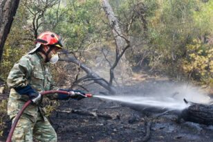 Ναυπακτία: Οριοθετήθηκε η φωτιά στην Αφροξυλιά - ΝΕΟΤΕΡΑ ΦΩΤΟ - ΒΙΝΤΕΟ