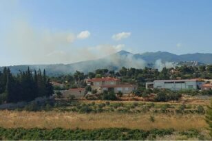 Παλλήνη: Υπό μερικό έλεγχο η φωτιά κοντά σε σχολικό συγκρότημα - Δεν κινδύνεψαν σπίτια