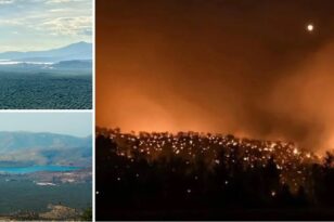 Φωκίδα: Η φωτιά κατέκαψε μεγάλη αγροτοδασική έκταση 3.000 στρεμμάτων - Η απόλυτη καταστροφή του ελαιώνα