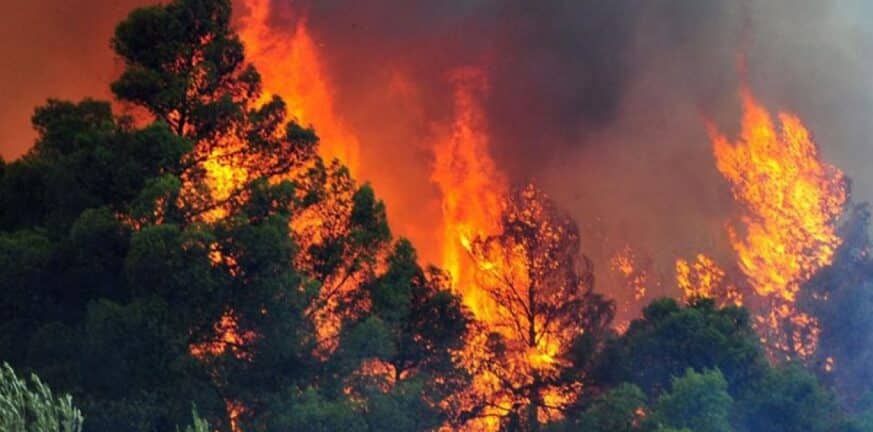 Φυλή Αττικής ΝΕΟΤΕΡΑ: Υπό έλεγχο η φωτιά σε δασική έκταση