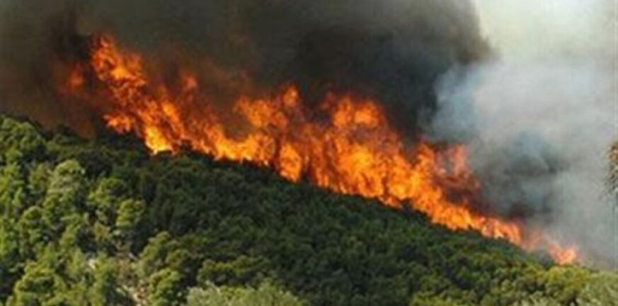 Φωτιά στην Κέρκυρα: Δόθηκε εντολή εκκένωσης - Με επίγεια και εναέρια μέσα η Πυροσβεστική