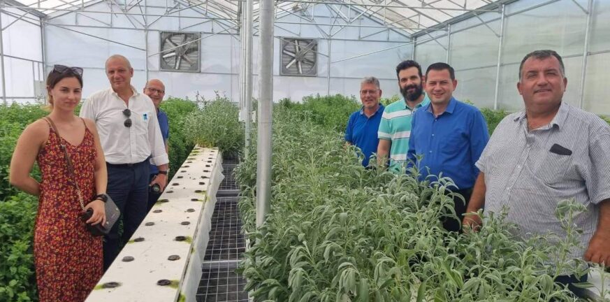 Το μέλλον των καλλιεργειών μέσα από καινοτόμες δράσεις που στηρίζει η Περιφέρεια Δυτικής Ελλάδος