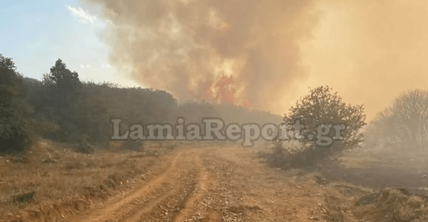 Μεγάλη φωτιά στο Λογγίτσι Στυλίδας - Επιχειρούν και εναέριες δυνάμεις