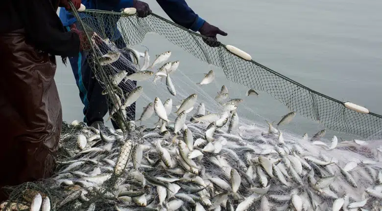 Στα 51,3 εκατ. ευρώ το πακέτο των αποζημιώσεων σε αλιεία και υδατοκαλλιέργεια