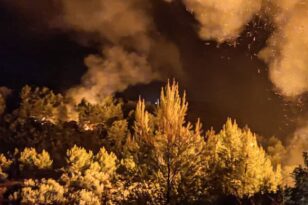 Αμαλιάδα: Σε ύφεση η μεγάλη δασική πυρκαγιά στην Ανάληψη - Βρέθηκαν τέσσερις εστίες