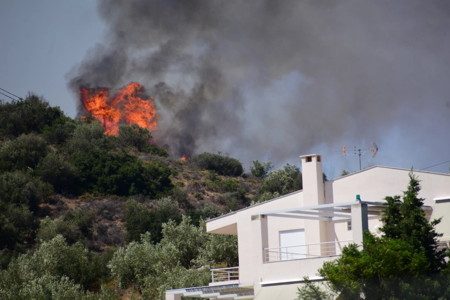 Φωτιά στην Αργολίδα: Οριοθετήθηκε το μέτωπο - Εκκενώθηκε ξενοδοχείο ΦΩΤΟ