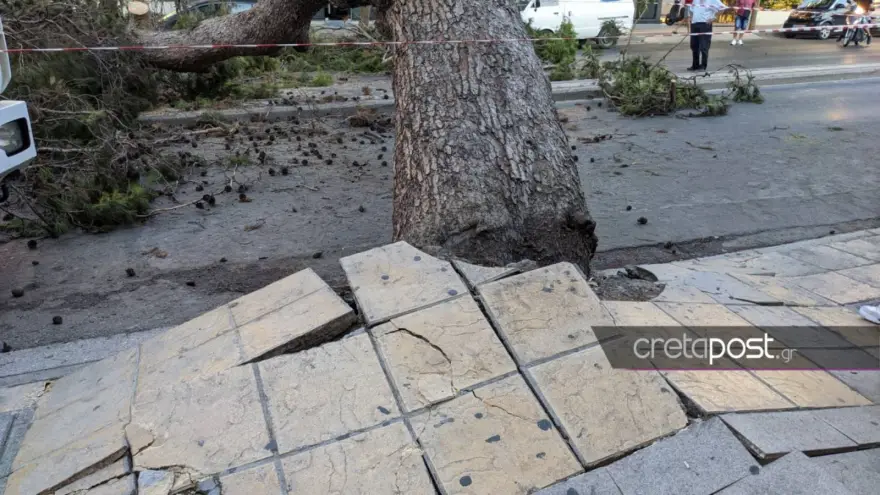 Ηράκλειο Κρήτης: Τραγωδία με 50χρονο μοτοσικλετιστή που καταπλακώθηκε από δέντρο - ΦΩΤΟ