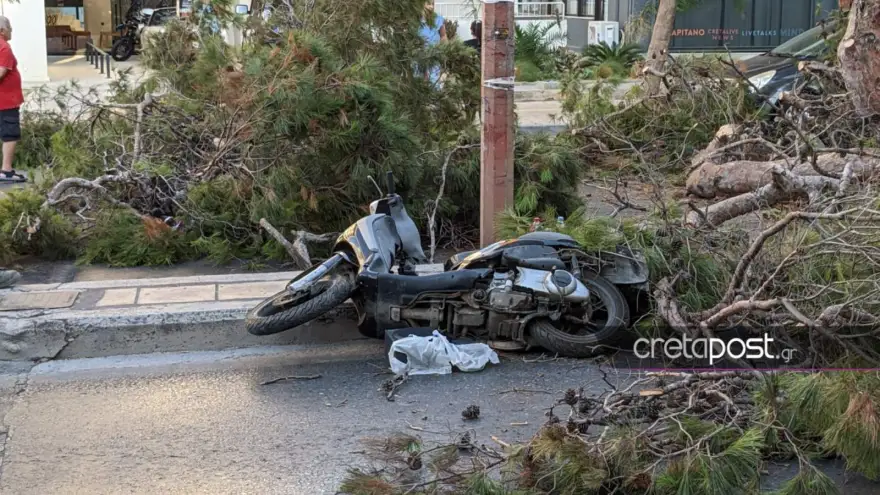 Ηράκλειο Κρήτης: Τραγωδία με 50χρονο μοτοσικλετιστή που καταπλακώθηκε από δέντρο - ΦΩΤΟ