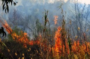 Πυρκαγιά στο Μάνεσι Καλαβρύτων - Επιχειρούν επίγειες και εναέριες δυνάμεις
