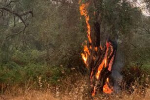 Φωτιά από κεραυνό στη Ρόδο – Επιχειρεί ένα ελικόπτερο