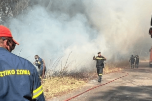 Οριοθετήθηκε η φωτιά στη Ναύπακτο - Παραμένουν δυνάμεις στην περιοχή
