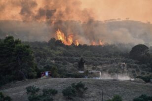 Φωτιά στη Μεσσηνία: Μεγάλη κινητοποίηση της πυροσβεστικής - Μήνυμα από το 112 για εκκένωση