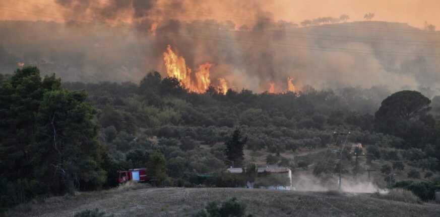 Φωτιά στη Μεσσηνία: Μεγάλη κινητοποίηση της πυροσβεστικής - Μήνυμα από το 112 για εκκένωση