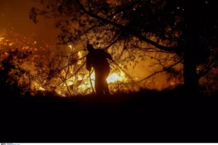 Φωτιές: 51 πύρινα μέτωπα μέσα σε μία μέρα -Έρευνες της πυροσβεστικής για εμπρησμούς