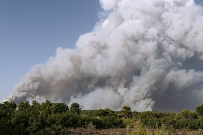 Φωτιά στην Ηλεία – Καίγεται δασική έκταση στην Πεύκη