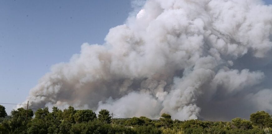 Φωτιά στην Ηλεία – Καίγεται δασική έκταση στην Πεύκη