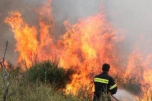 Εύβοια: Φωτιά σε χωριό έξω από τη Χαλκίδα με κατοίκους να βοηθούν τους πυροσβέστες