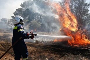 Ηλεία: Ξέσπασε φωτιά στο Επιτάλιο - ΦΩΤΟ